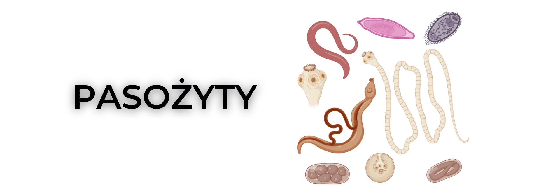 Pasożyty